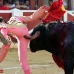 Huesca - Corrida de toros - Sábado 11 de agosto de 2018