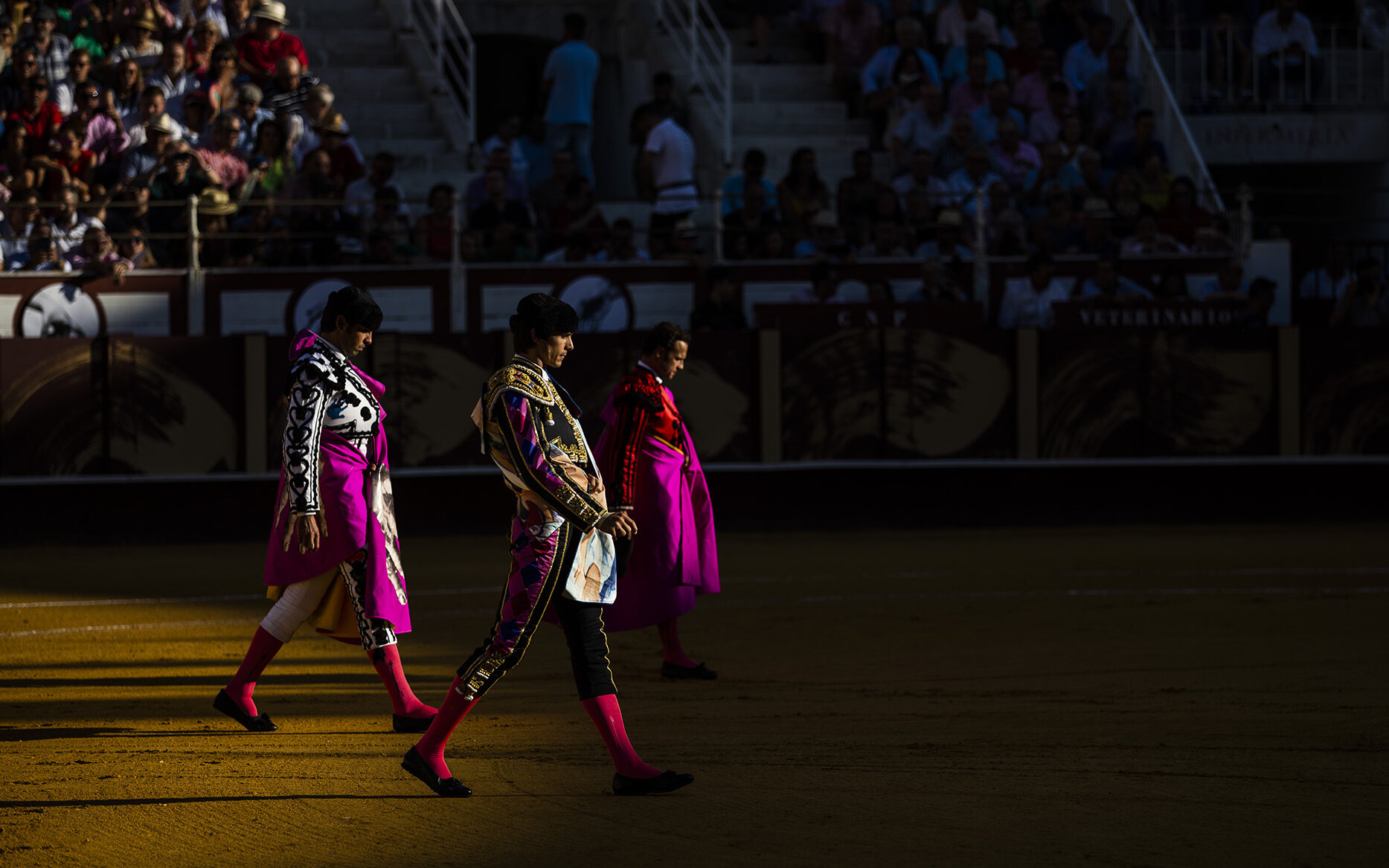 Fortes, Ortega y Aguado, cartelazo para la Picassiana de Málaga
