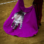 Málaga. Martes, 14 de agosto.