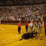 Málaga, 18 de agosto de 2018