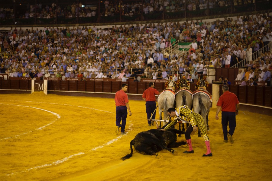 Málaga, 18 de agosto de 2018