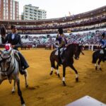 Málaga, 19 de agosto de 2018