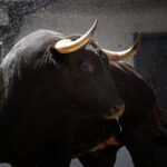 Sorteo, Bilbao 19 de agosto de 2018