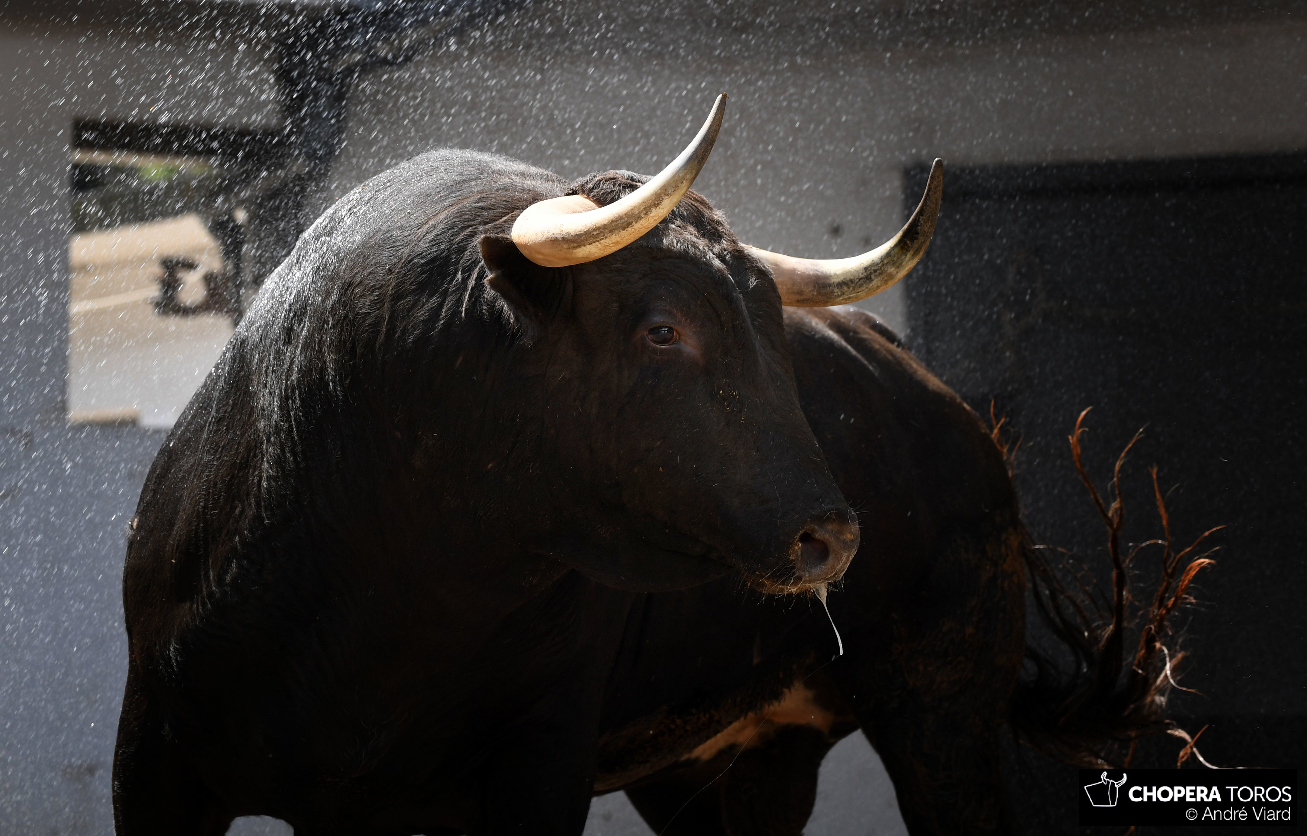 Sorteo, Bilbao 19 de agosto de 2018