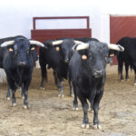 Sorteo. Almería, 25 de agosto de 2018