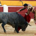 Huesca - Corrida de toros - Sábado 11 de agosto de 2018
