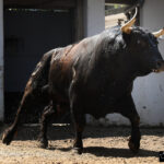 Bilbao, 18 de agosto de 2018