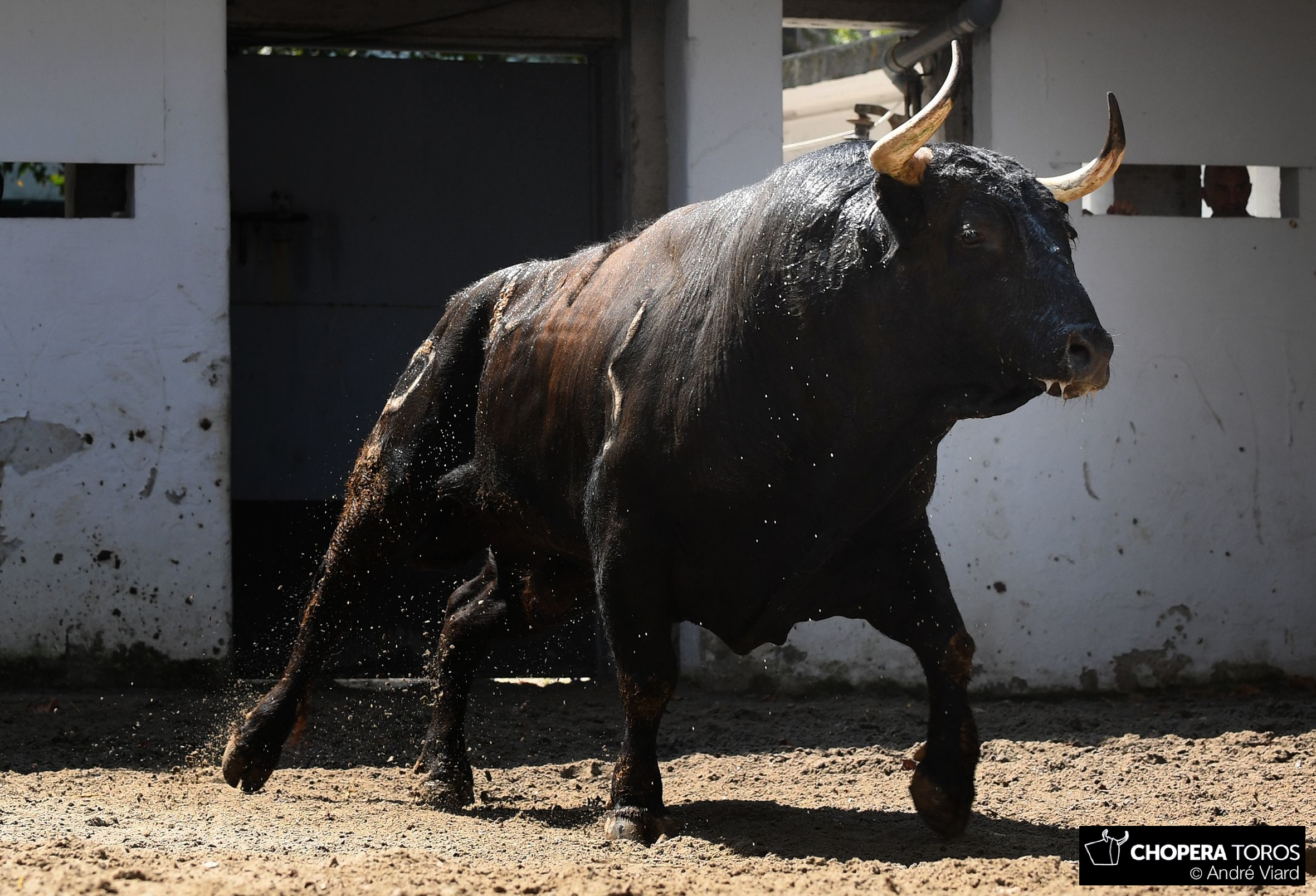 Bilbao, 18 de agosto de 2018