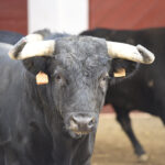 Sorteo, Bilbao 19 de agosto de 2018