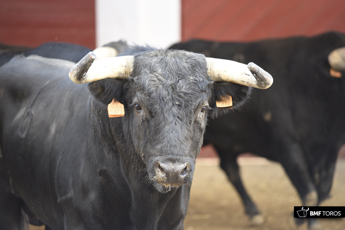 Sorteo, Bilbao 19 de agosto de 2018