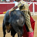 Huesca - Corrida de toros - Sábado 11 de agosto de 2018
