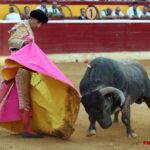 Huesca - Corrida de toros - Sábado 11 de agosto de 2018