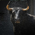 Bilbao, 18 de agosto de 2018