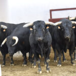 Sorteo, Bilbao 19 de agosto de 2018