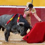 Huesca - Corrida de toros - Sábado 11 de agosto de 2018