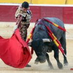 Huesca - Corrida de toros - Sábado 11 de agosto de 2018
