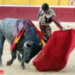 Huesca - Corrida de toros - Sábado 11 de agosto de 2018