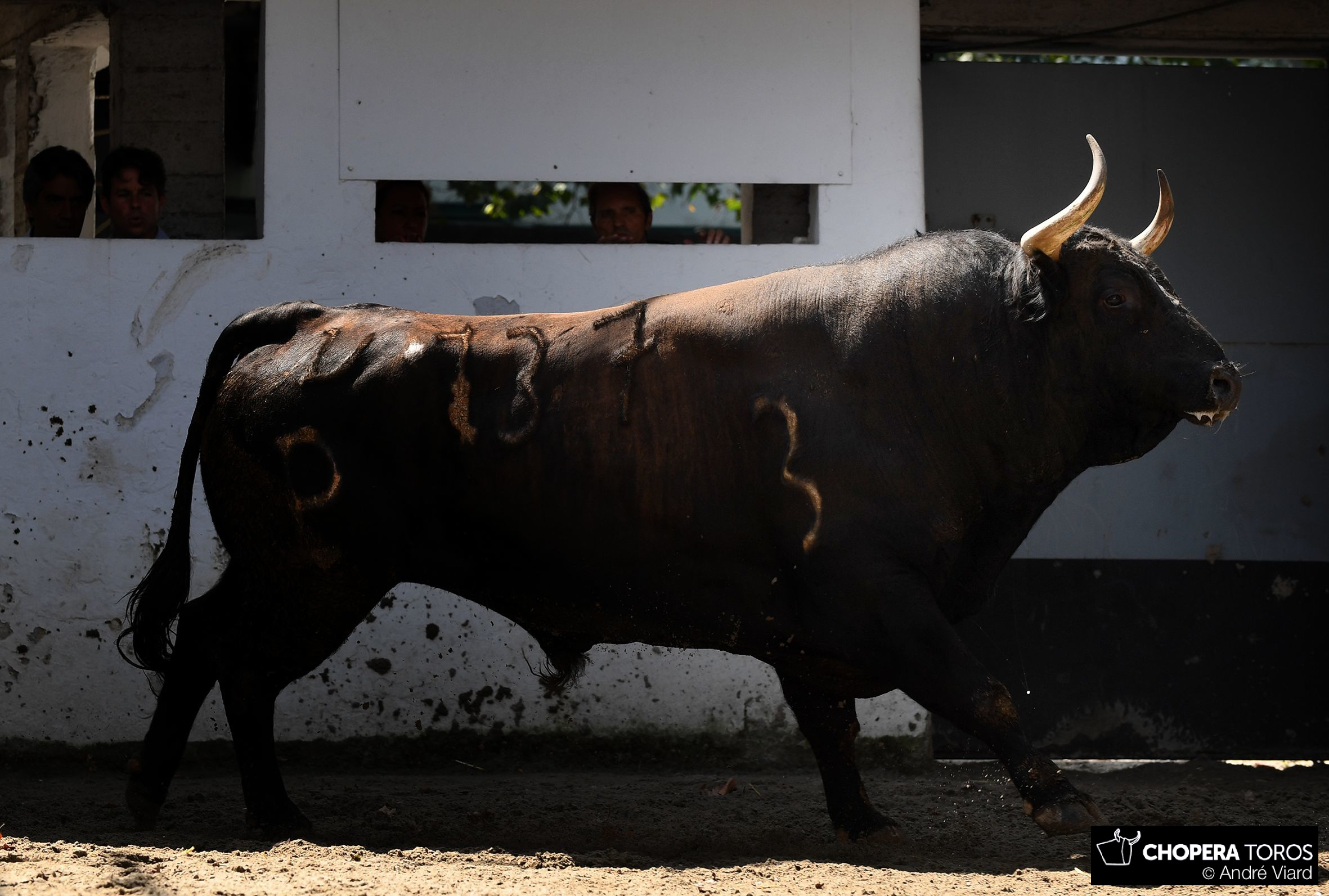 Sorteo, Bilbao 19 de agosto de 2018