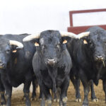 Sorteo. Almería, 25 de agosto de 2018