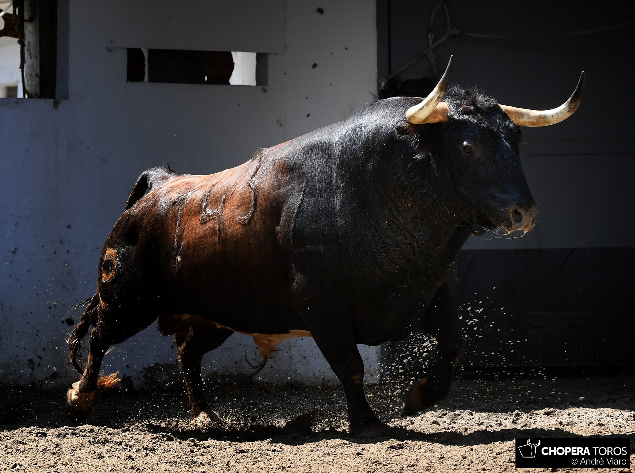 Sorteo, Bilbao 19 de agosto de 2018