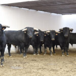 Sorteo. Almería, 25 de agosto de 2018