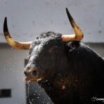 Bilbao, 18 de agosto de 2018