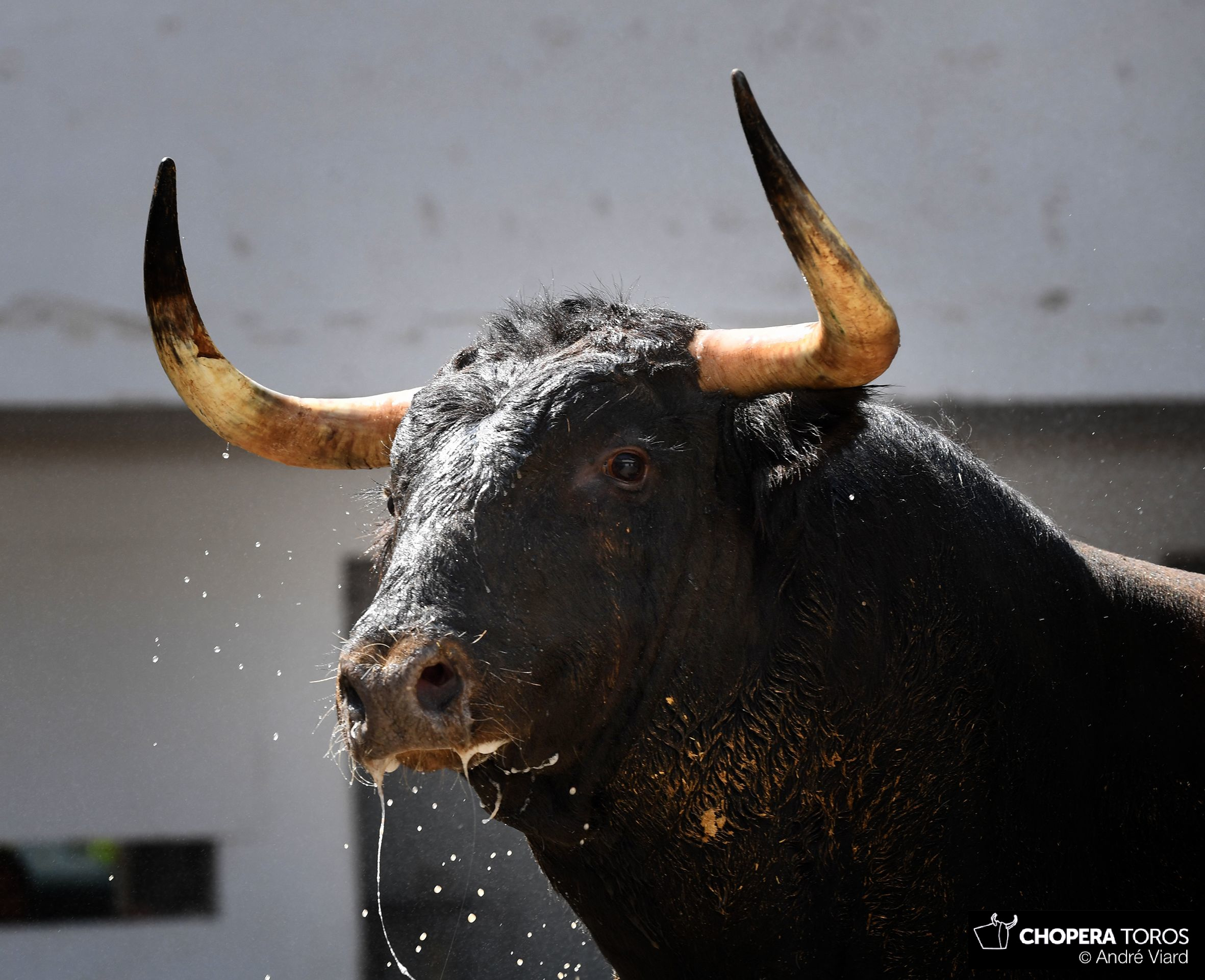 Bilbao, 18 de agosto de 2018