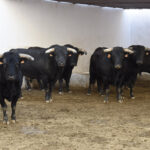 Sorteo, Bilbao 19 de agosto de 2018