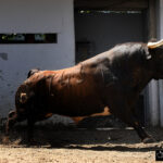 Bilbao, 18 de agosto de 2018