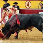 Huesca - Corrida de toros - Domingo 12 de agosto de 2018