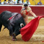 Huesca - Corrida de toros - Domingo 12 de agosto de 2018
