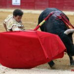 Huesca - Corrida de toros - Domingo 12 de agosto de 2018