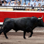 Bilbao, 19 de agosto de 2018