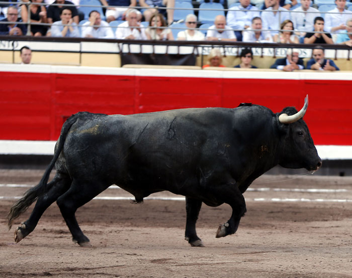 Bilbao, 19 de agosto de 2018