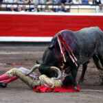 Bilbao, 19 de agosto de 2018