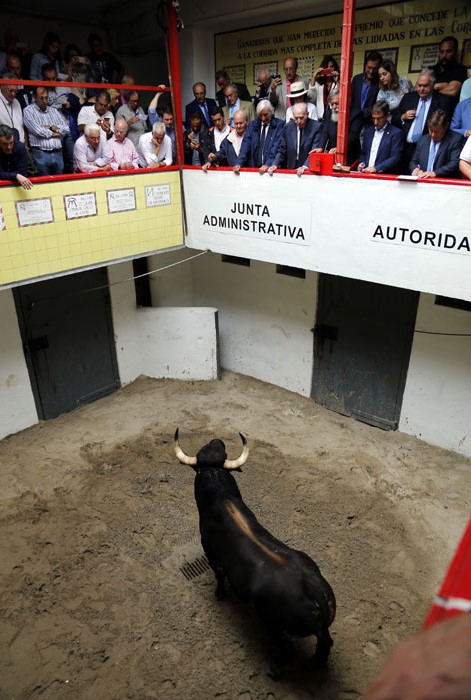 El pintor Eduardo Arroyo presenta el apartado de Bilbao