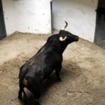 El pintor Eduardo Arroyo presenta el apartado de Bilbao