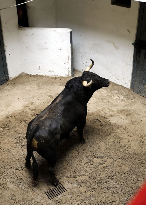 El pintor Eduardo Arroyo presenta el apartado de Bilbao