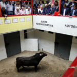 El pintor Eduardo Arroyo presenta el apartado de Bilbao