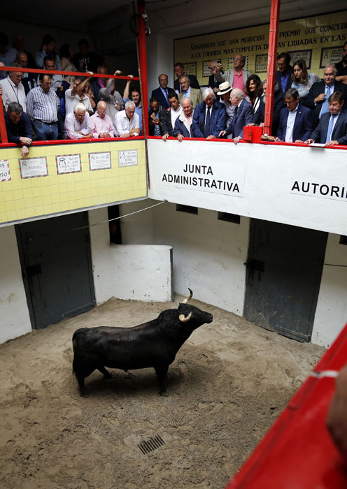 El pintor Eduardo Arroyo presenta el apartado de Bilbao