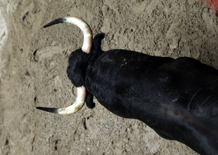 El pintor Eduardo Arroyo presenta el apartado de Bilbao