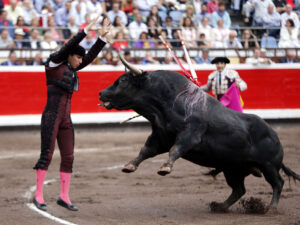 Bilbao - Corrida de toros - Viernes 24 de agosto de 2018