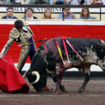 Bilbao - Corrida de toros - Viernes 24 de agosto de 2018