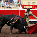 Bilbao - Corrida de toros - Viernes 24 de agosto de 2018