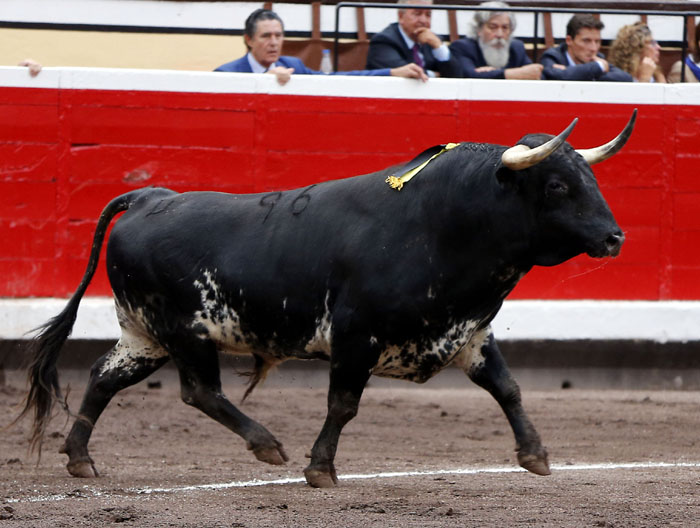 Bilbao - Corrida de toros - Viernes 24 de agosto de 2018