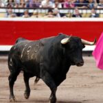 Bilbao, 25 de agosto de 2018