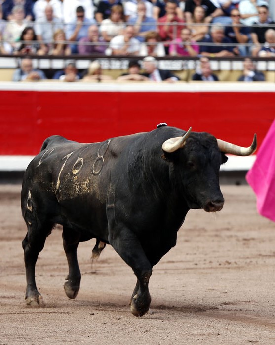 Bilbao, 25 de agosto de 2018