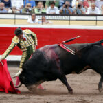 Bilbao, 25 de agosto de 2018