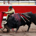 Bilbao, 25 de agosto de 2018