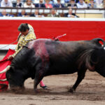 Bilbao, 25 de agosto de 2018